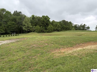 /international/us/lot-2g-fountain-view-drive-leitchfield-ky-110095949649/