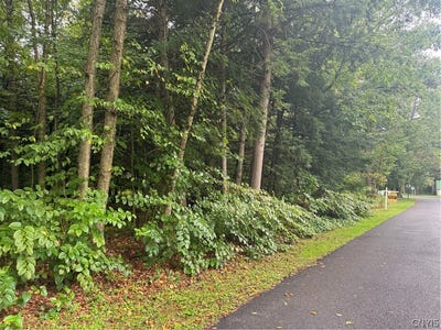 /international/us/shady-lane-sylvan-beach-ny-110110273090/