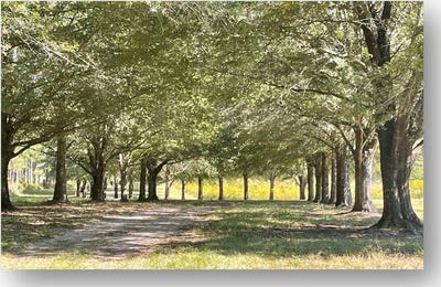 /international/us/off-lower-tuskegee-road-tallassee-al-110109852041/