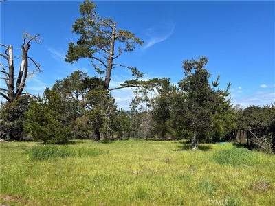 /international/us/2540-malvern-street-cambria-ca-110107659024/