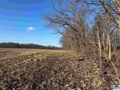 /international/us/n-100-w-lot-2-perrysville-in-110108350957/
