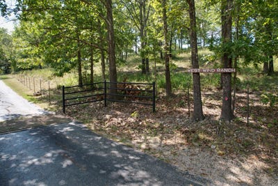 /international/us/93-w-wind-way-squires-mo-110108030016/