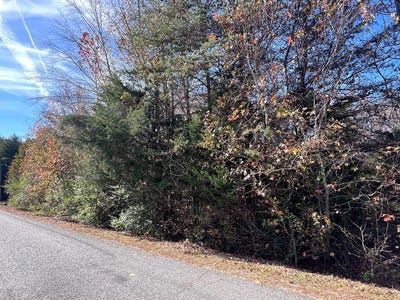 /international/us/williams-trail-halifax-va-110095874514/