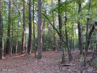 /international/us/91a-palomino-road-carthage-nc-110103289401/