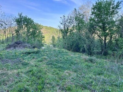 /international/us/5-383-ac-falls-branch-rd-lavalette-wv-110107635795/