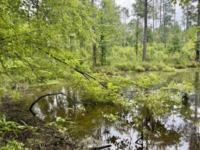 /international/us/lot-e-camp-creek-road-lancaster-sc-110101348251/?lang=en