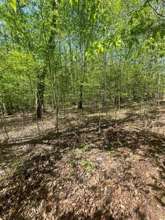 /international/us/389-excalibur-trail-cedar-grove-tn-110107055956/