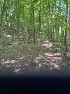 /international/us/macs-mountain-retreat-lane-franklin-nc-110101099552/?lang=zh-tw