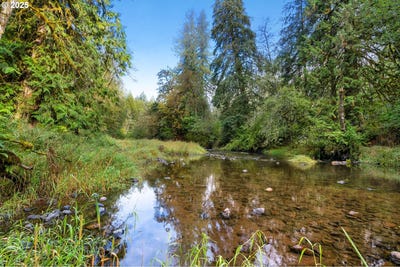 /international/us/ne-cedar-creek-rd-woodland-wa-110102883956/
