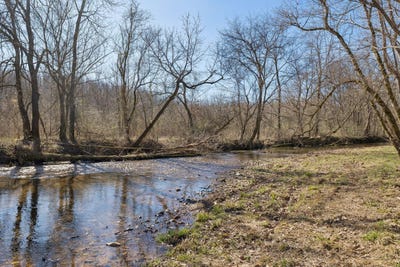 /international/us/0-hurricane-creek-road-lot-1-linden-tn-110105218661/