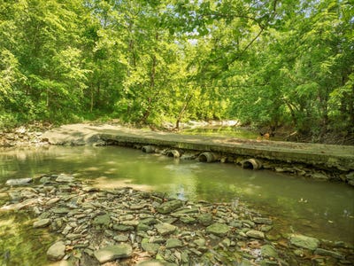 /international/us/2155-willisburg-road-willisburg-ky-110100880614/