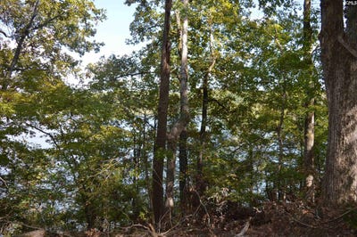 /international/us/wateree-key-court-lot-25-winnsboro-sc-110120091176/