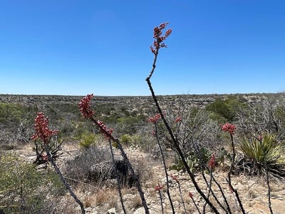/international/us/hwy-349-sheffield-tx-110106725767/