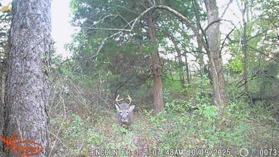 /international/us/200-yellowstone-ave-blockton-ia-110095614756/