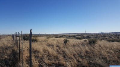 /international/us/ridge-road-silver-city-nm-110082003964/