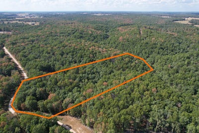 /international/us/34-lakeview-trail-raymondville-mo-110120511327/