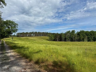 /international/us/county-road-278-five-points-al-110099303134/
