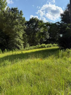 /international/us/1529-cheatham-rd-carbon-hill-al-110119379678/