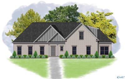/international/us/215-oakland-view-drive-brownsboro-al-110119295092/