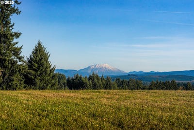 /international/us/161-cooper-hill-ct-castlerock-wa-110104112060/