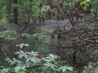 /international/us/tbd-county-road-74-taylor-ar-110098884639/