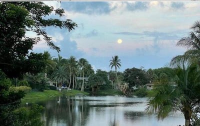 /international/us/299-nw-10th-court-boca-raton-fl-110100754384/