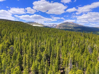 /international/us/2221-kootchie-kootchie-road-alma-co-110098850044/