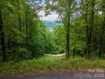 /international/us/lt-10-von-trapp-lane-tuckasegee-nc-110120413674/