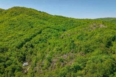/international/us/audrey-ln-blue-ridge-va-blue-ridge-va-110107824536/