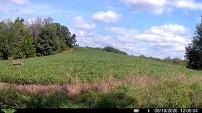 /international/us/13282-bell-avenue-mercer-mo-110107037443/
