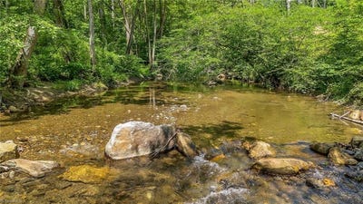 /international/us/tbd-n-old-nc-highway-16-millers-creek-nc-110100131539/