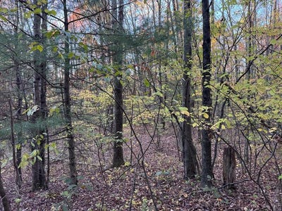 /international/us/oxbow-road-waverly-ny-110106679419/