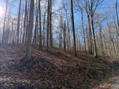 /international/us/2791-region-road-roundhill-ky-110105054343/