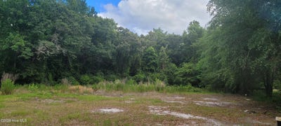 /international/us/28379-nc-hwy-210-currie-nc-110109012683/