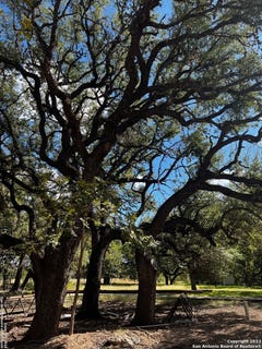/international/us/440-red-wright-rd-leakey-tx-110080227021/