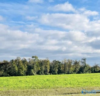 /international/us/418-scenic-drive-section-al-110099817380/?lang=zh-tw