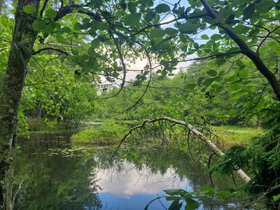 /international/us/beaver-brook-road-lot-36-limerick-me-110109050321/
