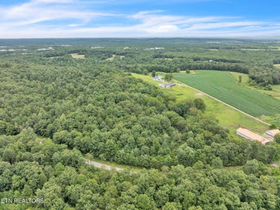 /international/us/gatewood-ford-rd-deer-lodge-tn-110095569719/?lang=en