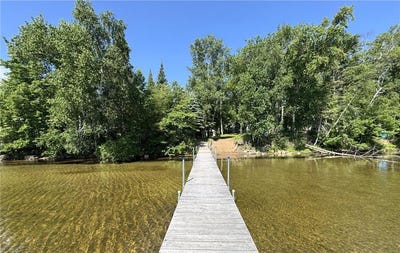 /international/us/48894-386th-place-palisade-mn-110100584784/