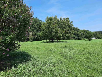 /international/us/002-jellon-mountain-view-ar-110099098489/