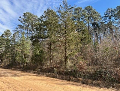 /international/us/moss-creek-road-danville-ar-110105039028/