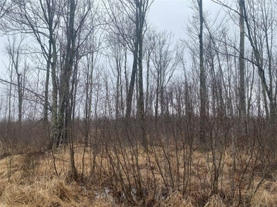 /international/us/on-shauger-road-ogema-wi-110107797606/