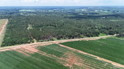 /international/us/154-county-road-38-acres-banks-al-110108637374/