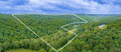 /international/us/3110-rocky-fork-road-brushcreek-twp-oh-110108304063/