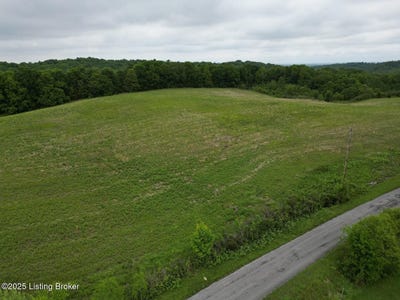 /international/us/lot-4-duvall-rd-caneyville-ky-110099398416/?lang=zh-tw