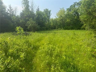 /international/us/3920-tomahawk-trail-medina-mn-110100129598/