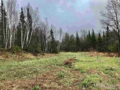 /international/us/s-co-rd-519-highway-bessemer-mi-110108031093/