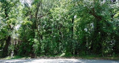 /international/us/1135-dowell-street-cookeville-tn-110100692840/