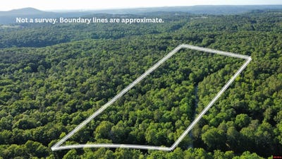 /international/us/001-01795-003-dwelle-road-norfork-ar-110107965355/