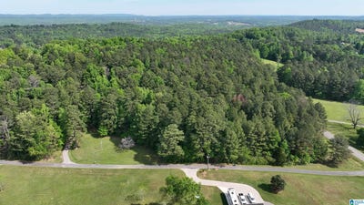 /international/us/old-sawmill-road-lot-1-72-acres-moody-al-110107548056/